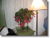 IMG_7179 * 2272 x 1704 * (882KB)